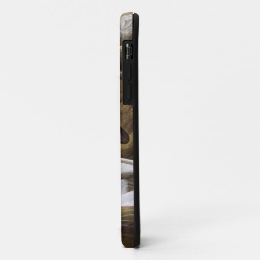 Audubon: Canvasback Case-Mate iPhone Case (Achterkant/links)