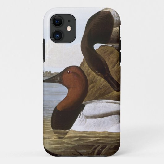 Audubon: Canvasback Case-Mate iPhone Case (Achterkant)