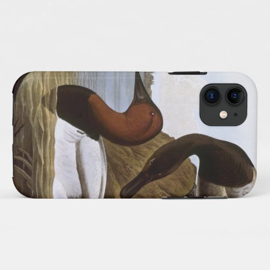 Audubon: Canvasback Case-Mate iPhone Case (Achterkant (horizontaal))