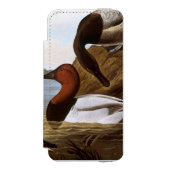 Audubon: Canvasback Incipio iPhone Portemonnee Hoesje (Voorkant Agenda)