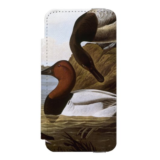 Audubon: Canvasback Incipio iPhone Portemonnee Hoesje (Voorkant Agenda)