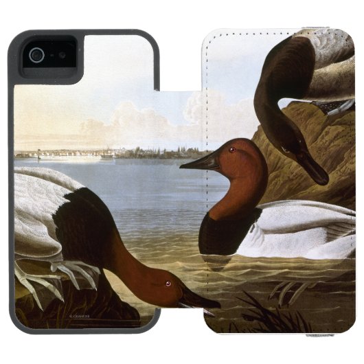 Audubon: Canvasback Incipio iPhone Portemonnee Hoesje (Agenda Open)