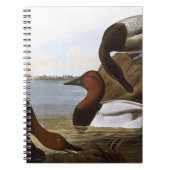 Audubon: Canvasback Notitieboek (Voorkant)