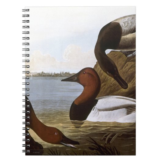 Audubon: Canvasback Notitieboek (Voorkant)