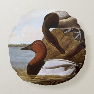 Audubon: Canvasback Rond Kussen