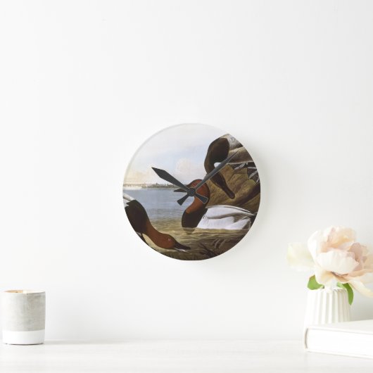 Audubon: Canvasback Ronde Klok (Huis)