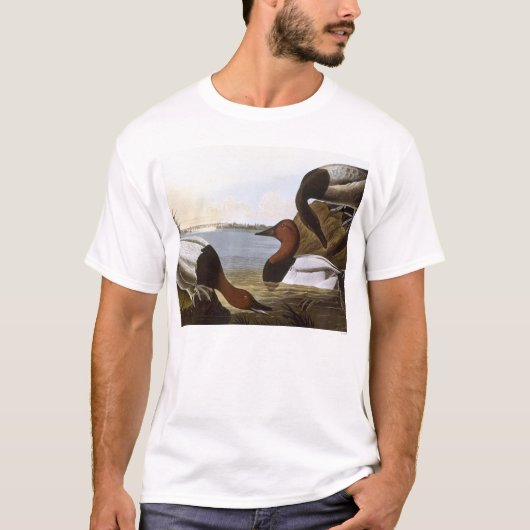 Audubon: Canvasback T-shirt (Voorkant)