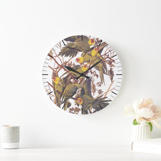 Audubon Carolina Parakeet Grote Klok (Huis)