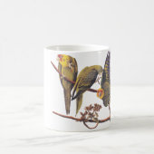 Audubon Carolina Parakeet Mok (Center)