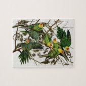 Audubon Carolina Paraket Bird Painting Legpuzzel (Horizontaal)