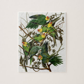 Audubon Carolina Paraket Bird Painting Legpuzzel