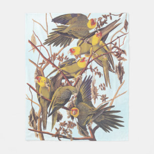 Audubon Carolina Paraket Flock Fleece Deken
