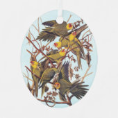 Audubon Carolina Paraket Flock Metalen Ornament (Voorkant)
