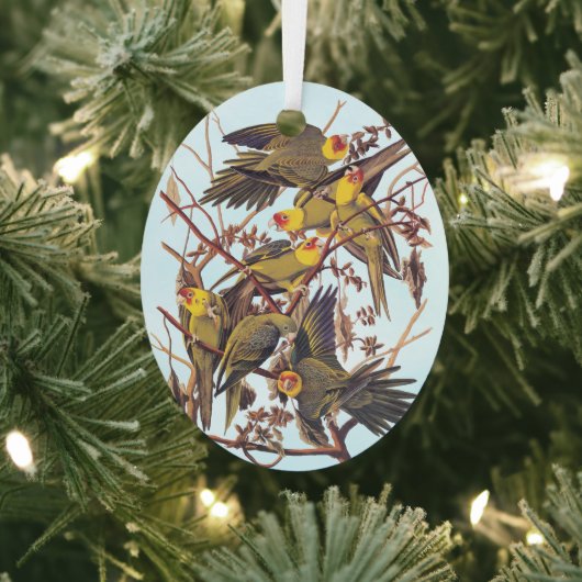 Audubon Carolina Paraket Flock Metalen Ornament (Insitu)