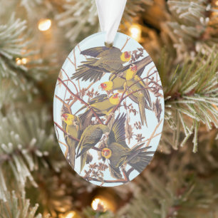 Audubon Carolina Paraket Flock Ornament