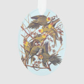 Audubon Carolina Paraket Flock Ornament (achterkant)