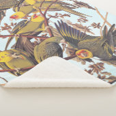 Audubon Carolina Paraket Flock Sherpa Deken (3/4)