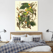 Audubon Carolina Parkiet vogelillustratie Canvas Afdruk (Insitu (Slaapkamer))