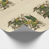 Audubon Carolina Parrot Bird illustratie Cadeaupapier (Hoek)