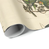 Audubon Carolina Parrot Bird illustratie Cadeaupapier (Rol Hoek)