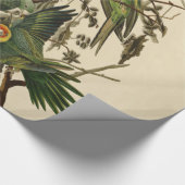 Audubon Carolina Parrot Bird illustratie Cadeaupapier (Hoek)