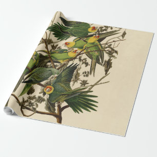 Audubon Carolina Parrot Bird illustratie Cadeaupapier