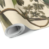 Audubon Carolina Parrot Bird illustratie Cadeaupapier (Rol Hoek)