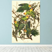 Audubon Carolina Parrot Bird illustratie Canvas Afdruk (Insitu (Houten vloer))