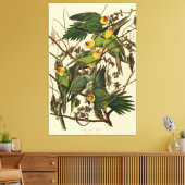 Audubon Carolina Parrot Bird illustratie Canvas Afdruk (Insitu (Woonkamer))