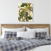 Audubon Carolina Parrot Bird illustratie Canvas Afdruk (Insitu (Slaapkamer))