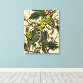 Audubon Carolina Parrot Bird illustratie Canvas Afdruk (Insitu (Houten vloer))
