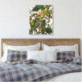Audubon Carolina Parrot Bird illustratie Canvas Afdruk (Insitu (Slaapkamer))