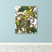 Audubon Carolina Parrot Bird illustratie Canvas Afdruk (Insitu (Houten vloer))