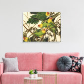 Audubon Carolina Parrot Bird illustratie Canvas Afdruk (Insitu (Woonkamer))