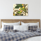 Audubon Carolina Parrot Bird illustratie Canvas Afdruk (Insitu (Slaapkamer))
