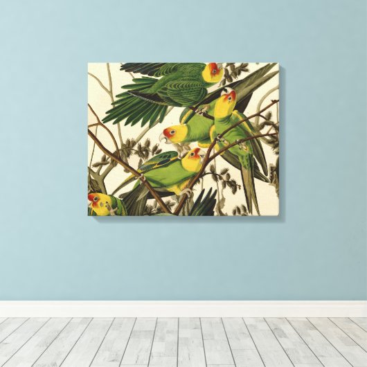 Audubon Carolina Parrot Bird illustratie Canvas Afdruk (Insitu (Houten vloer))