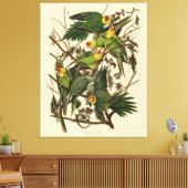 Audubon Carolina Parrot Bird illustratie Canvas Afdruk (Insitu (Woonkamer))