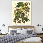 Audubon Carolina Parrot Bird illustratie Canvas Afdruk (Insitu (Slaapkamer))