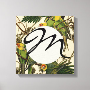 Audubon Carolina Parrot Bird illustratie Canvas Afdruk