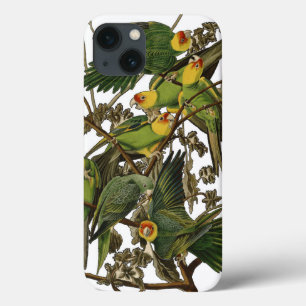 Audubon Carolina Parrot Bird illustratie Case-Mate iPhone Case