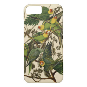 Audubon Carolina Parrot Bird illustratie iPhone 8/7 Hoesje