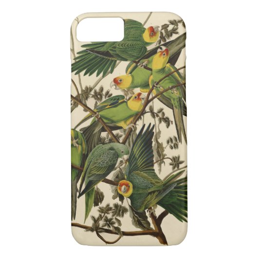 Audubon Carolina Parrot Bird illustratie Case-Mate iPhone Case (Achterkant)