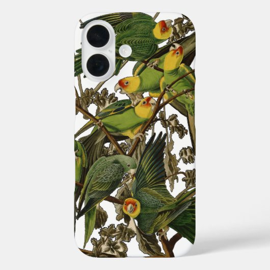Audubon Carolina Parrot Bird illustratie Case-Mate iPhone Case (Achterkant)