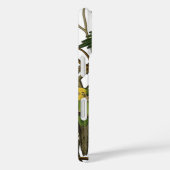 Audubon Carolina Parrot Bird illustratie Case-Mate iPhone Case (Achterkant / Rechts)