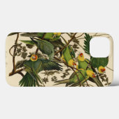 Audubon Carolina Parrot Bird illustratie Case-Mate iPhone Case (Achterkant (horizontaal))