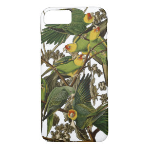 Audubon Carolina Parrot Bird illustratie iPhone 8/7 Hoesje