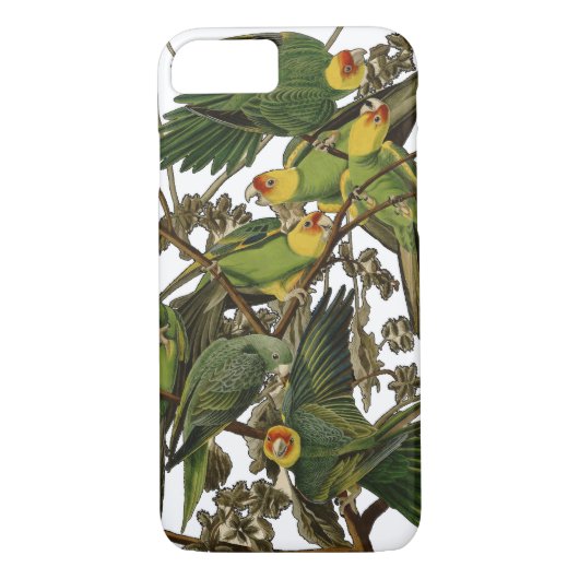 Audubon Carolina Parrot Bird illustratie Case-Mate iPhone Case (Achterkant)