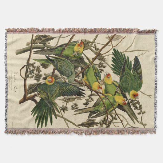 Audubon Carolina Parrot Bird illustratie Deken (Voorkant)