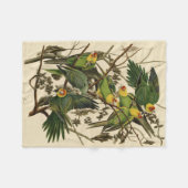 Audubon Carolina Parrot Bird illustratie Fleece Deken (Voorkant (Horizontaal))
