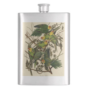 Audubon Carolina Parrot Bird illustratie Heupfles